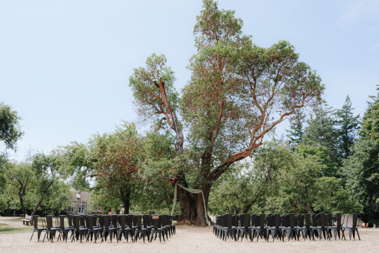 C + D | Summer Lavender Farm Wedding | Bilston Creek Farm